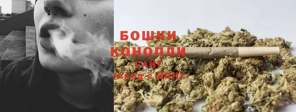 крисы Кулебаки