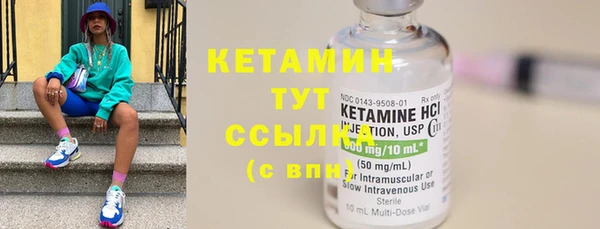 крисы Кулебаки