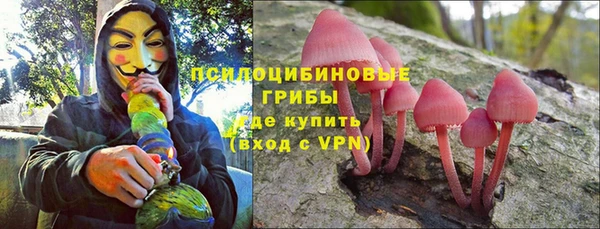 крисы Кулебаки