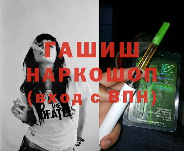 крисы Кулебаки