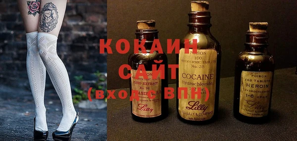 крисы Кулебаки