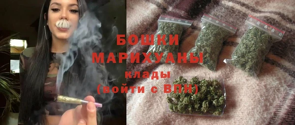 крисы Кулебаки