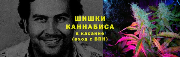 крисы Кулебаки
