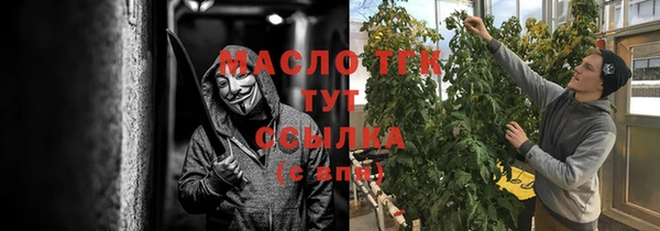 крисы Кулебаки