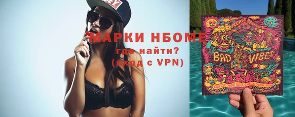 крисы Кулебаки
